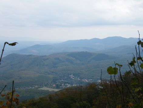 fenyes_ap_043.jpg fenyes_ap_043.jpg